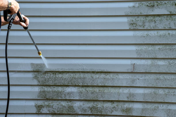 Best Foreclosure Cleanout  in Chesterton, IN