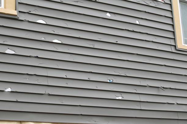 Best Recycling Services for Junk  in Chesterton, IN